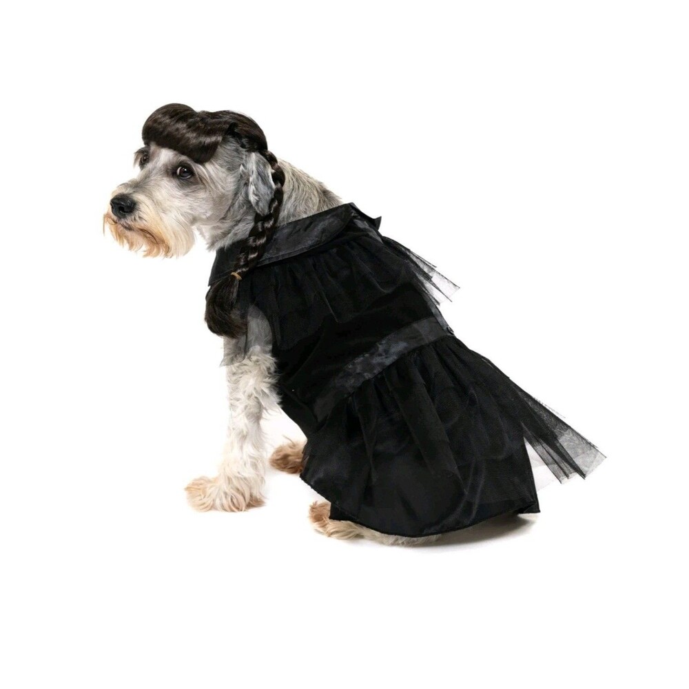 Vibrant Life Gothic Witch Dog/Pet Halloween Costume Wig & Outfit M (20-50Lbs)